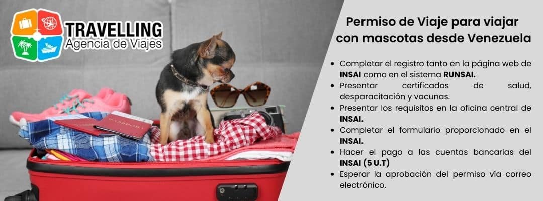 imagen con perro en maleta y titulo permiso de viaje para viajar con mascotas desde venezuela