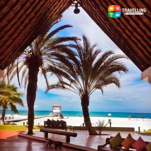 hotel paradise coche