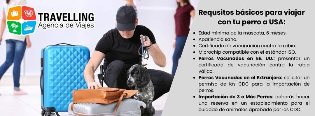 requisitos basicos para viajar con tu perro a usa