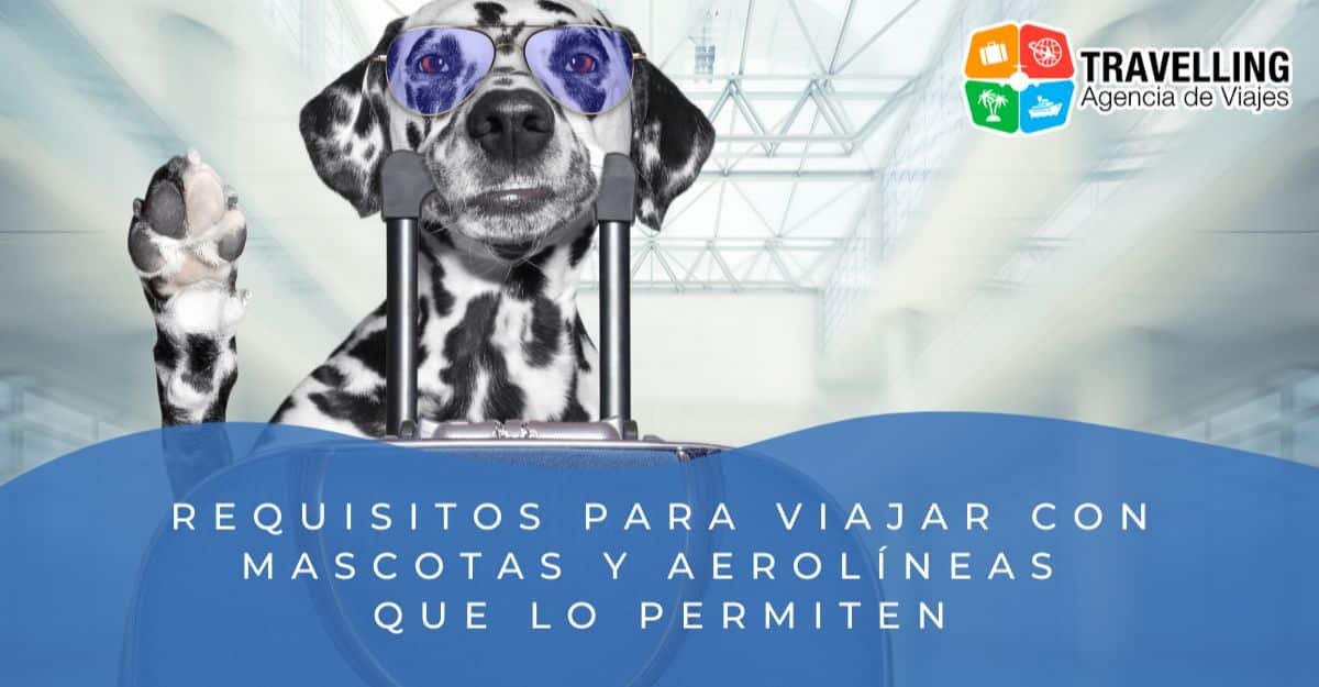 cuanto cuesta un pasaporte para perros en estados unidos